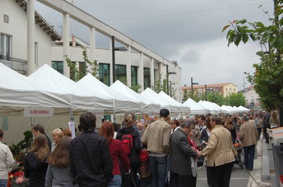 Un multitudinari Sant Jordi a la Rambla estrena l'himne de Ripollet.
