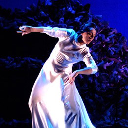 L'espectacle de dansa del Teatre Auditori se suspen..