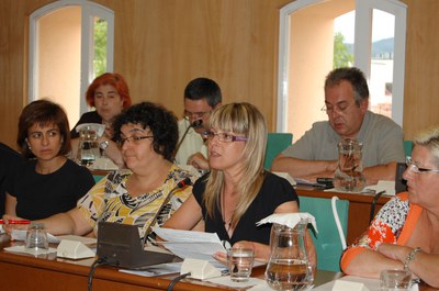 Acords del Ple Municipal de 24 de juliol de 2007.
