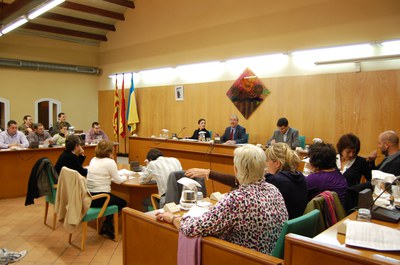 Sessió del Ple Municipal del 30 d'octubre de 2008.