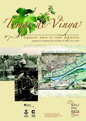 Temps de vinya al Centre d'Interpretació del Patrimoni.