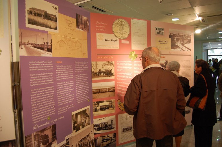 ripollet-cul-expo-vinya-301108016.JPG