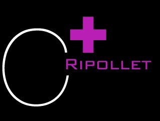 PP i Govern discrepen sobre les inversions a Can Mas.