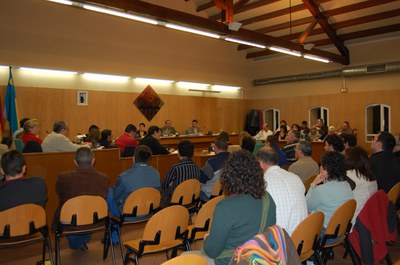 Ple municipal del 18 de desembre de 2008.