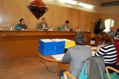 Ple extraordinari del 8 de gener de 2009.