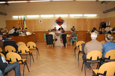 Acords del Ple Municipal del 29 de gener.