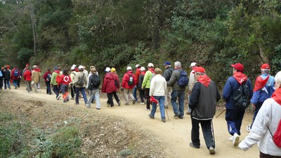Ripollet participa al Cicle de Passejades per a la gent gran.