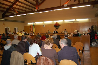 Acords del Ple Municipal del 26 de febrer de 2009.