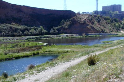 Visita d'observació al riu Ripoll.