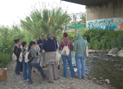 Medi Ambient ofereix dues conferències sobre plagues urbanes.