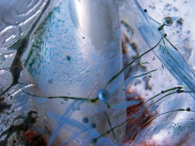 L'artista local Tere Calderón exposa 'La màgia del vidre' al Centre Cultural.