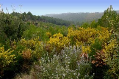 El Consorci de Turisme edita en paper la Guia de Museus.