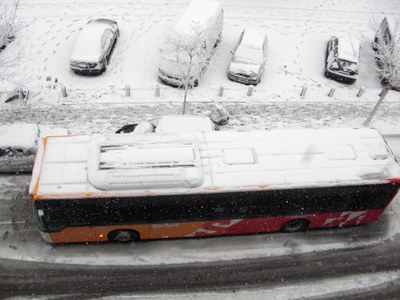 El transport públic funciona amb total normalitat.