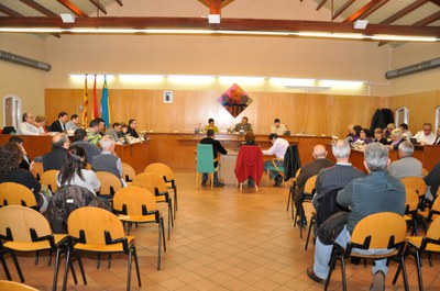 Acords del Ple Municipal del 25 de març de 2010.