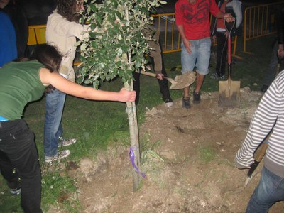 El Kftí se suma al Dia de l'Arbre.