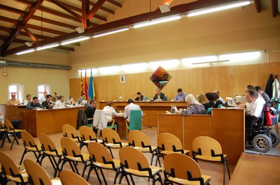 Acords del Ple Municipal del 29 d'abril de 2010.