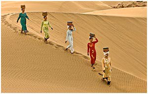 L'Afocer convidada a un festival de fotografia a la Xina.