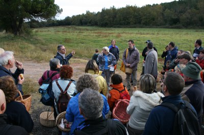 Una seixantena de persones surten a buscar bolets amb la Casa Natura.