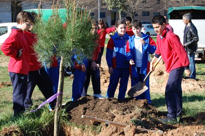 Arriben les últimes activitats de l'Any de l'Arbre a Ripollet.