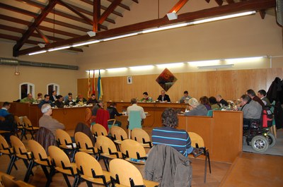 Acords del Ple Municipal de 30 de desembre de 2010.