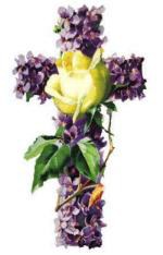 Servei gratuït d'autobusos a Collserola.