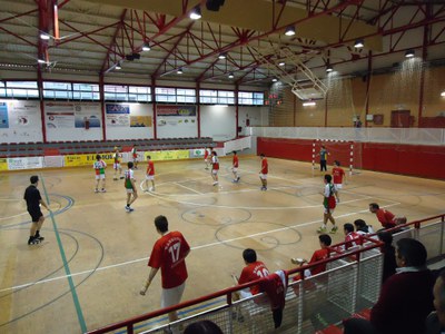 Resultats esportius 19 i 20 de febrer de 2011.
