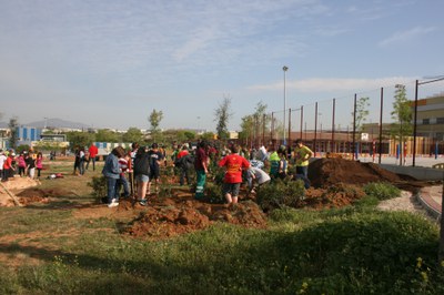 Més de 300 alumnes participen al Dia de l'Arbre 2011.