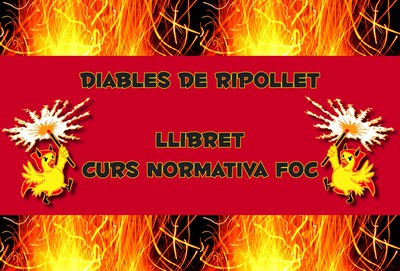 ripollet-cul-diables-simposium-llei-foc-091011-03.jpg