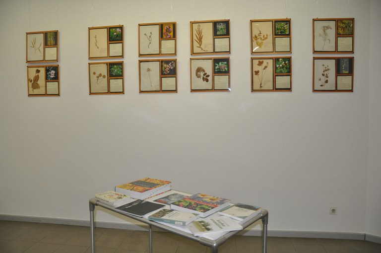 ripollet-med-expo-herbari-241011-9.JPG