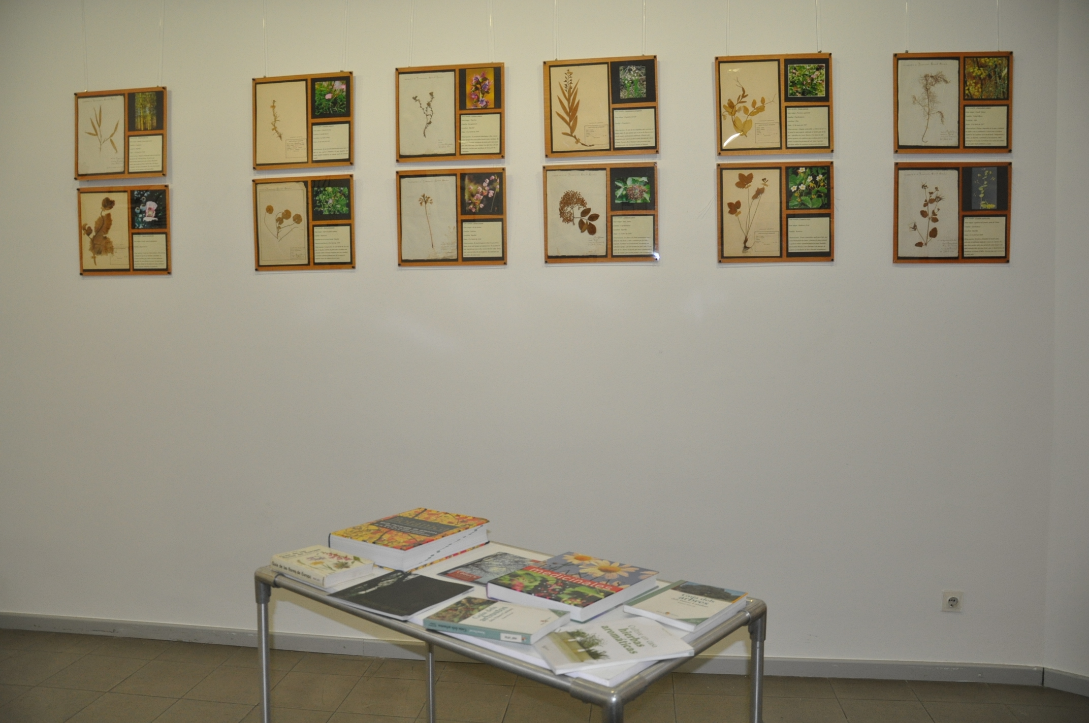 ripollet-med-expo-herbari-241011-9.JPG