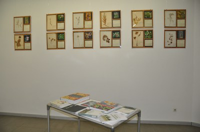 ripollet-med-expo-herbari-241011-9.JPG