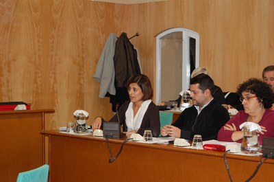 Ple Extraordinari 7 de novembre 2011S'aproven les Ordenances Municipals 2012.