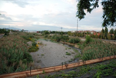 El COP-CpR demanarà un pla ocupacional per netejar el riu.