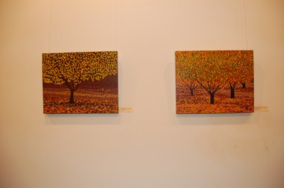 ripollet-cul-expo-arbres-inauguracio-010212-3.JPG