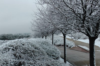 Darrera hora sobre la situació de fred i neu i vídeo de Ripollet nevat.