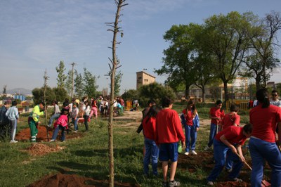 22 anys celebrant el Dia de l'Arbre.