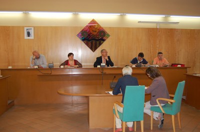 Acords del Ple Extraordinari del 14 de maigL'Ajuntament aprova el crèdit del Pla d'ajust.