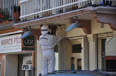 Tallat el carrer del Calvari per un eixam d'abelles.