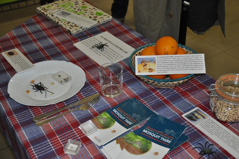 ripollet-med-expo-insectes-231012-7.JPG