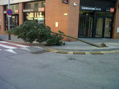 El vent ocasiona alguns desperfectes a Ripollet.