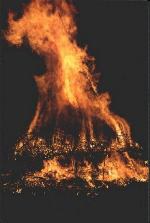 Sant Joan a Ripollet.