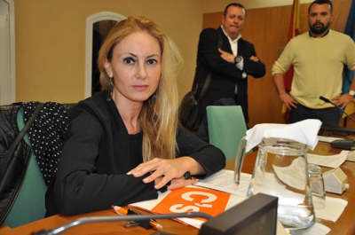 Imatge 2http://upload.ripollet.cat/FILES/JPG/ripollet-ple-ordinari-271016-002.JPG