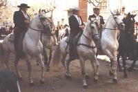 Diumenge, Festa de Sant Antoni Abat.