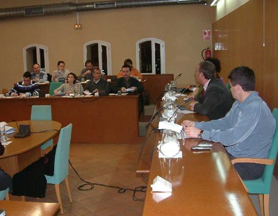 Acords del Ple Extraordinari del 29 de desembre de 2004.