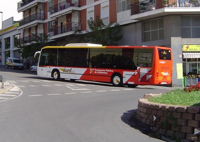 Bus gratuït al cementiri de Collserola.