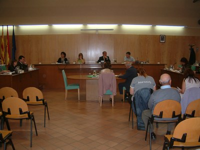 Acords del Ple Extraordinari del 16 d'octubre de 2006.