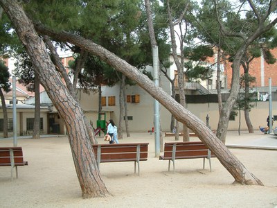 Acords de la Junta de Govern Local del 31 d'octubre.