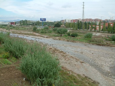 Acords de la Junta de Govern Local del 15 de novembre.