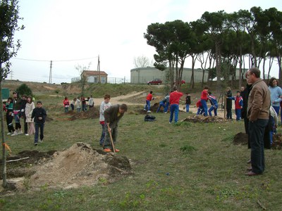 ripollet-medi-ambient-plantada-arbres-300307 (1).JPG