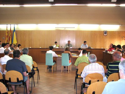 Acords de la sessió del Ple del 19 de juliol de 2007.